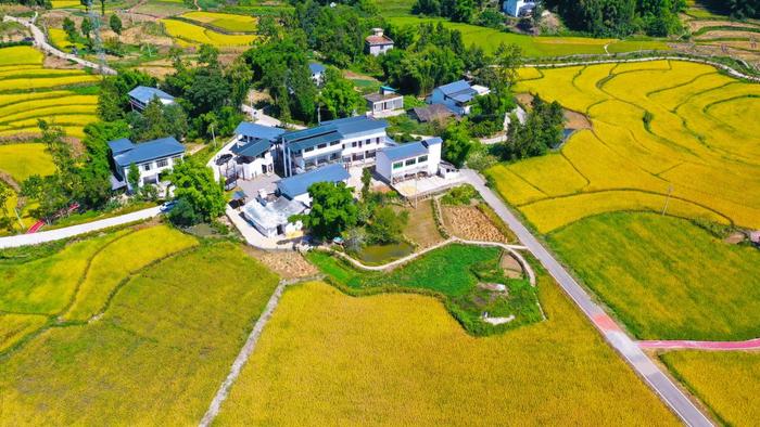 “长心小院”扮靓“和美乡村”(图1)