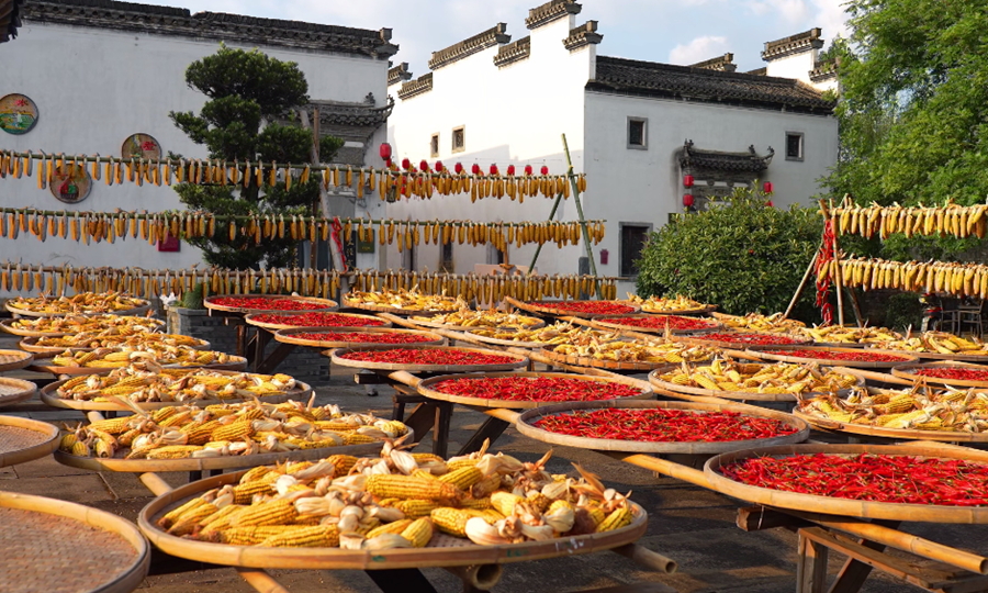 安徽黄山：古村晒秋入画来(图1)