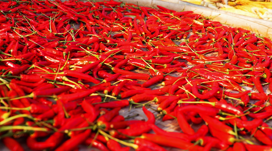 安徽黄山：古村晒秋入画来(图3)