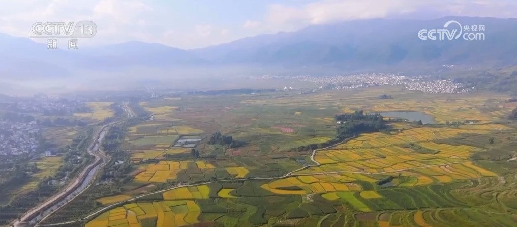 稻谷金黄、鱼虾满仓 金秋时节“丰”光无限一派繁忙景象(图3)