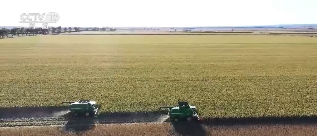 稻谷金黄、鱼虾满仓 金秋时节“丰”光无限一派繁忙景象(图5)