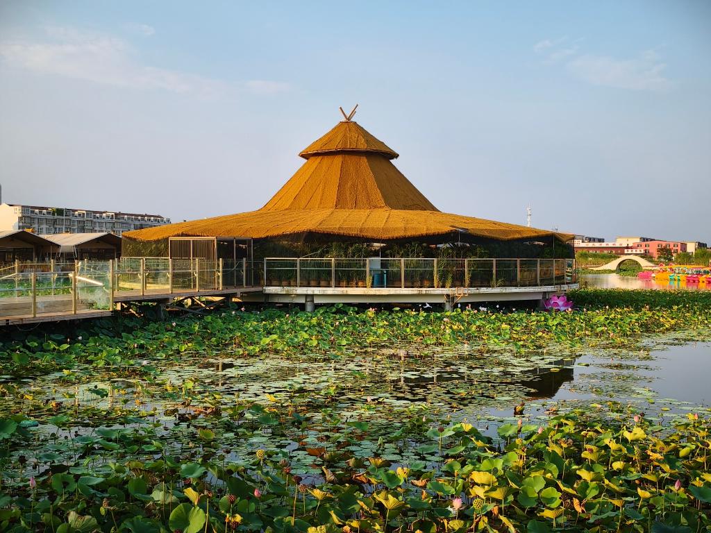 迎新村里有“新”事儿(图2)