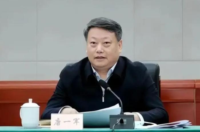 4“虎”被处分！唐一军家风不正、对配偶失管失教(图1)