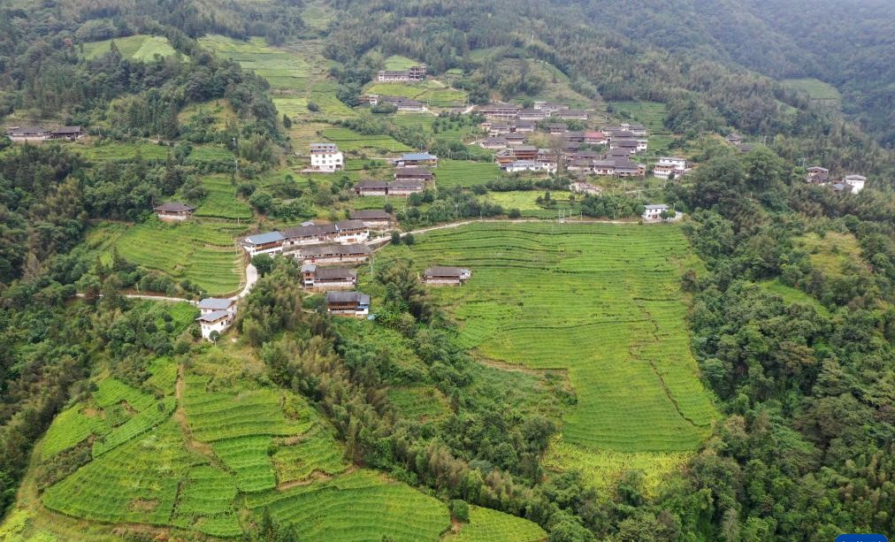 广西龙胜：百香果种成致富果(图1)