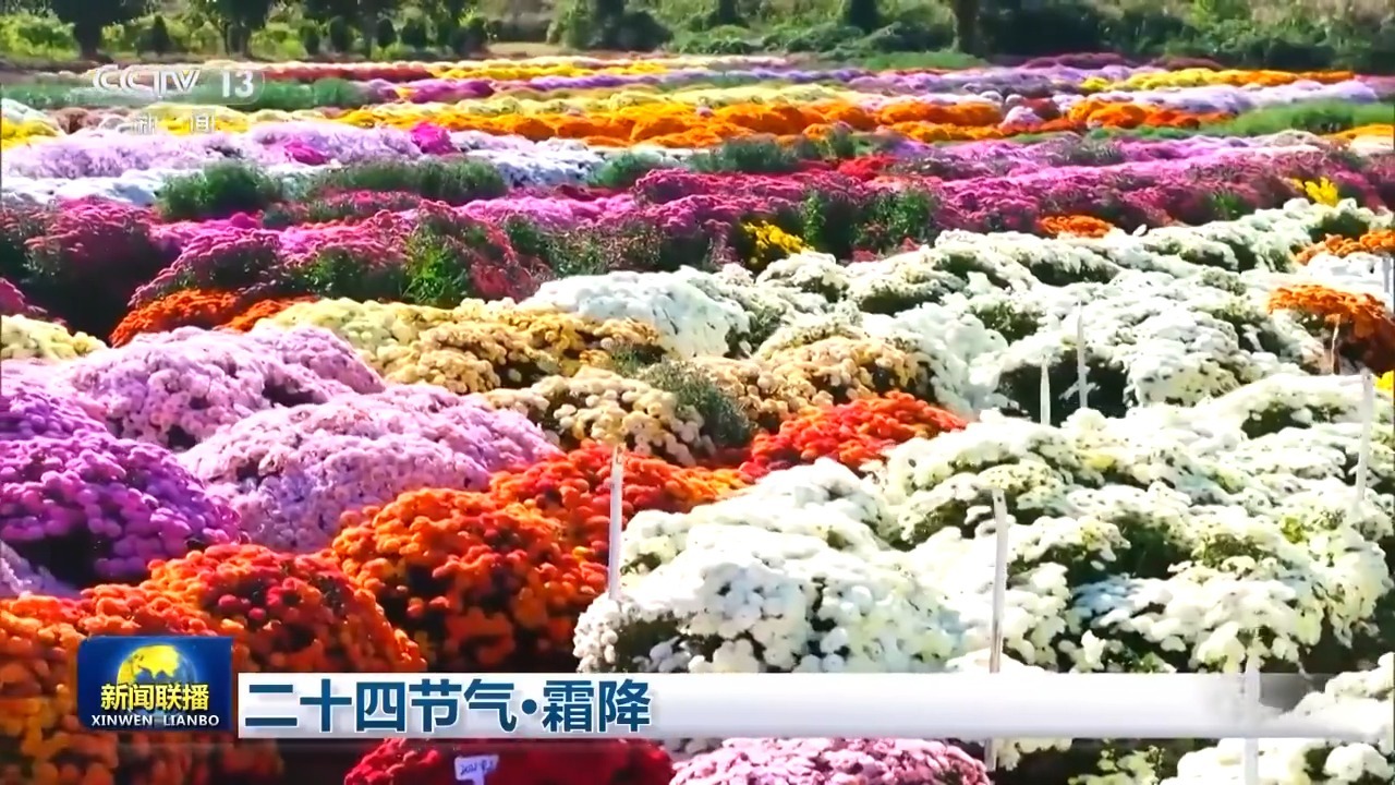 二十四节气·霜降 山明天清澈 秋色美如画(图1)