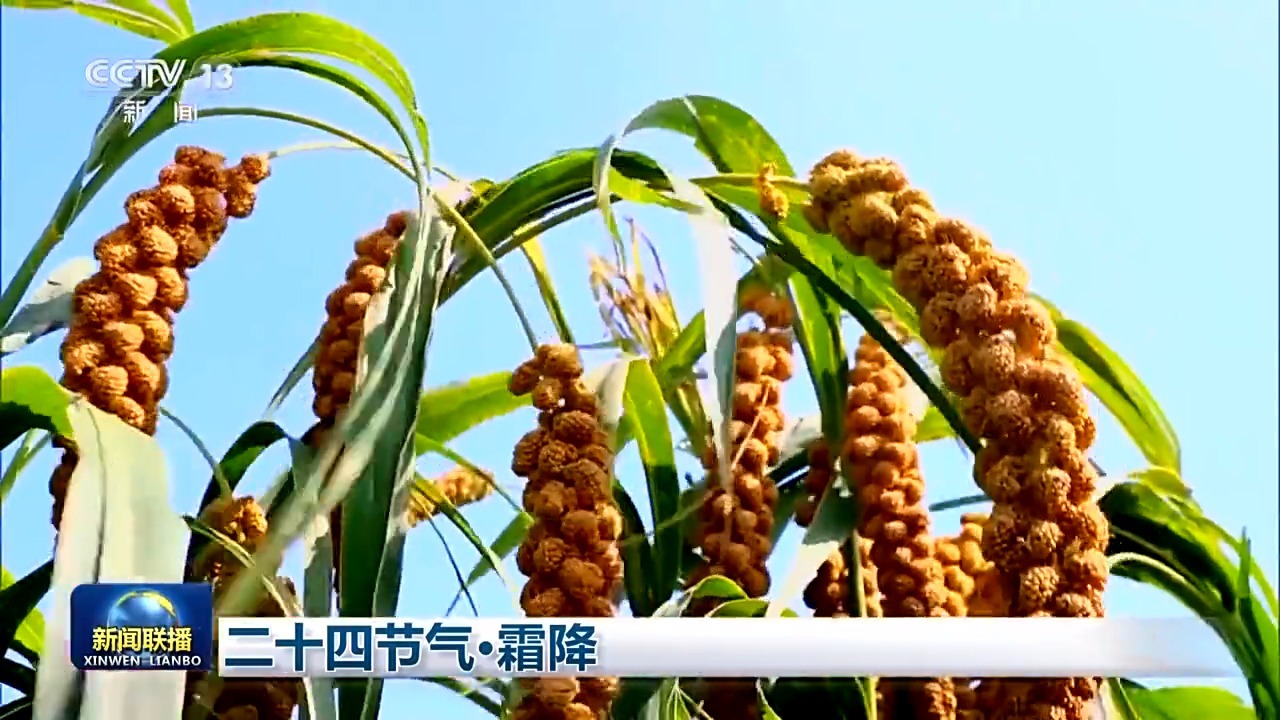 二十四节气·霜降 山明天清澈 秋色美如画(图3)