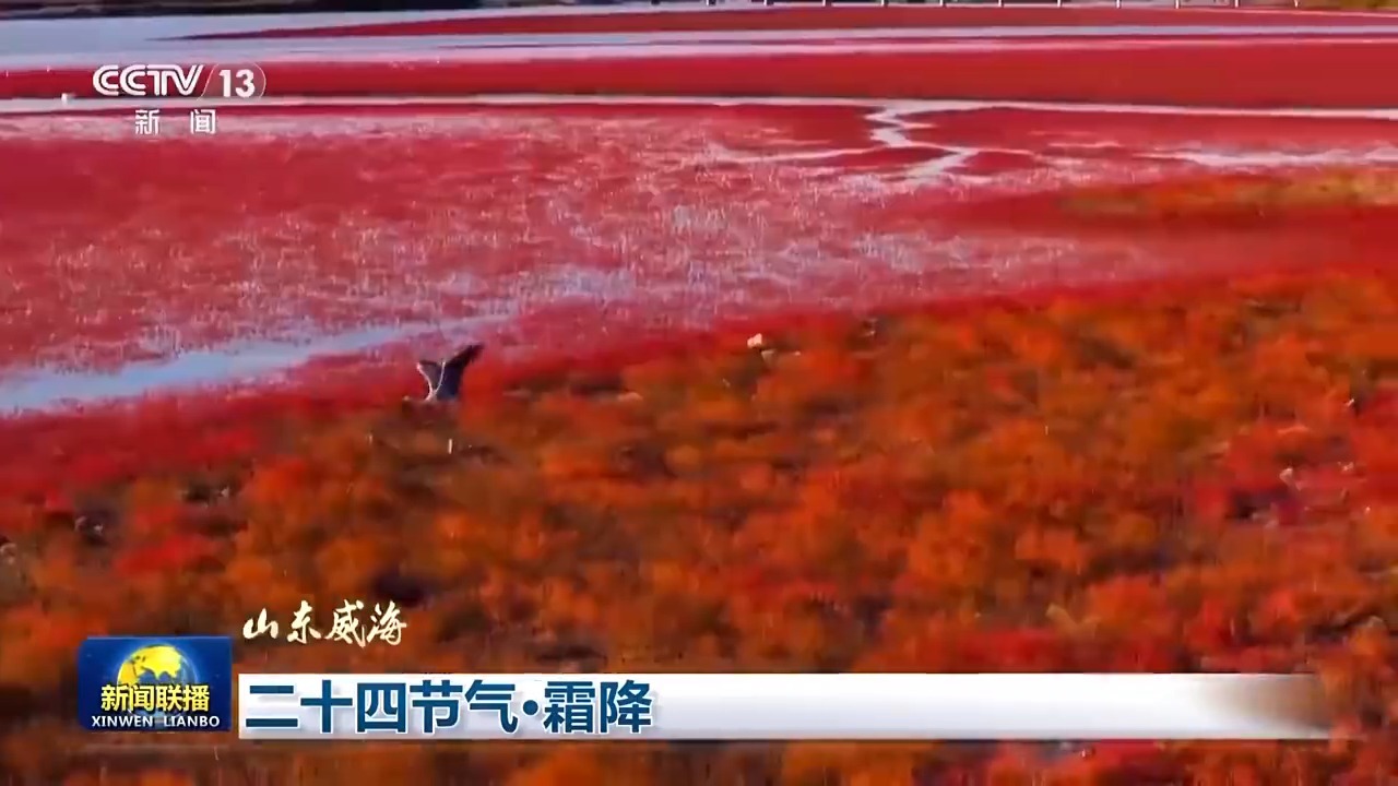 二十四节气·霜降 山明天清澈 秋色美如画(图8)