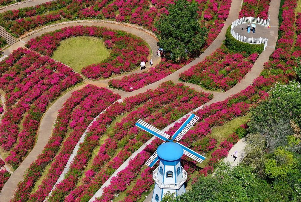 南宁：秋日好风光(图3)