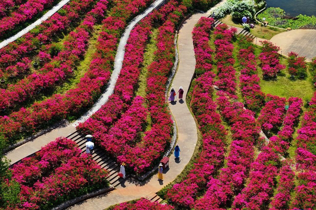 南宁：秋日好风光(图2)