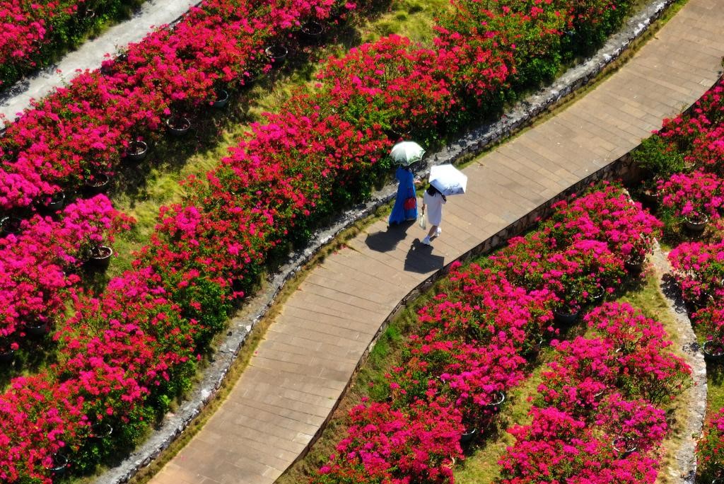 南宁：秋日好风光(图4)