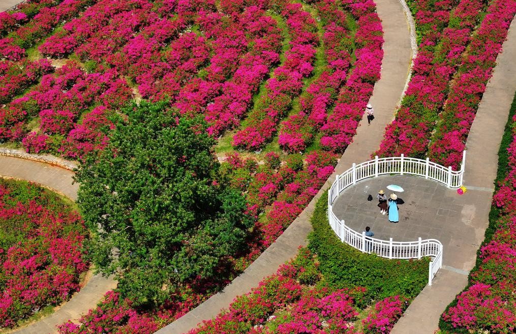 南宁：秋日好风光(图1)