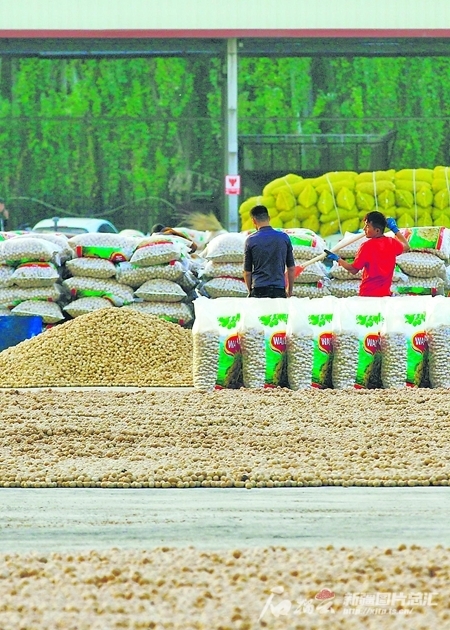 产业旺了 农民富了 乡村美了(图2)