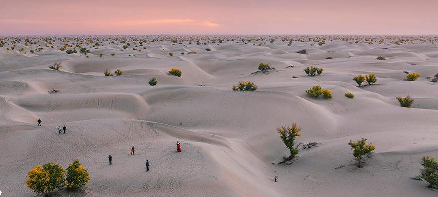 新疆和田：塔克拉玛干沙漠公路沿线秋景美(图2)