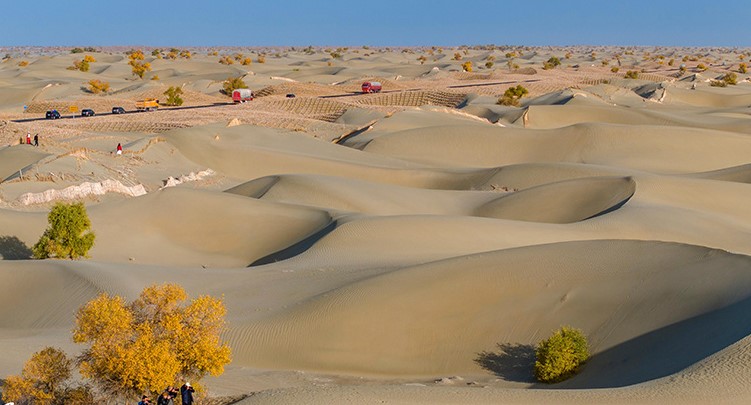 新疆和田：塔克拉玛干沙漠公路沿线秋景美(图3)