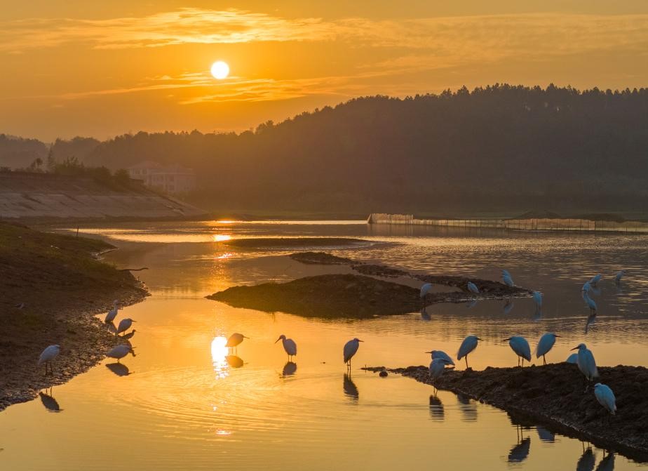 金秋华夏美(图2)