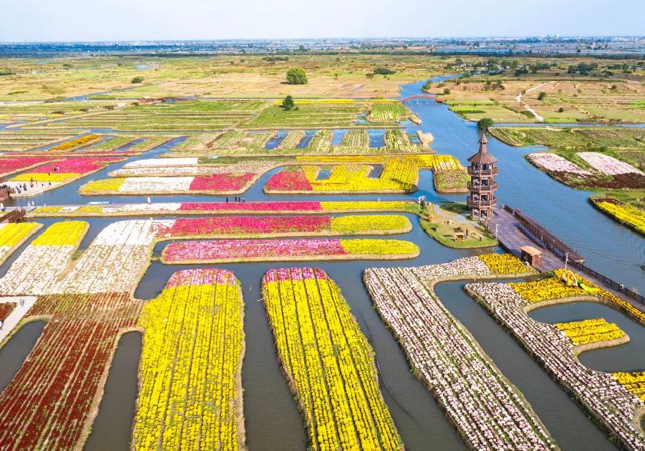 金秋华夏美(图1)