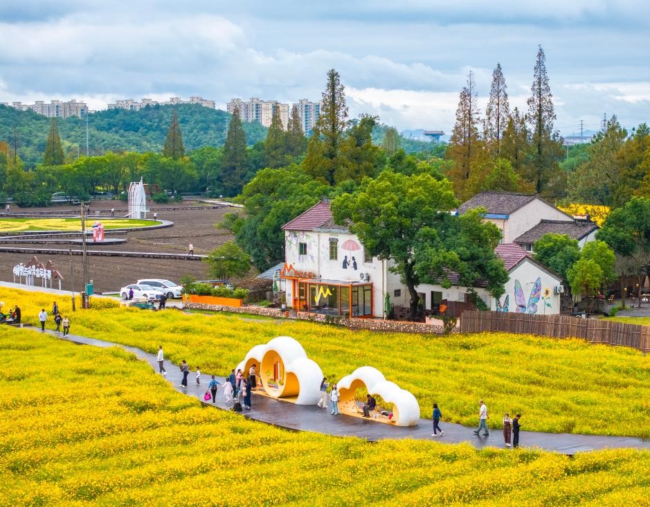 金秋华夏美(图3)