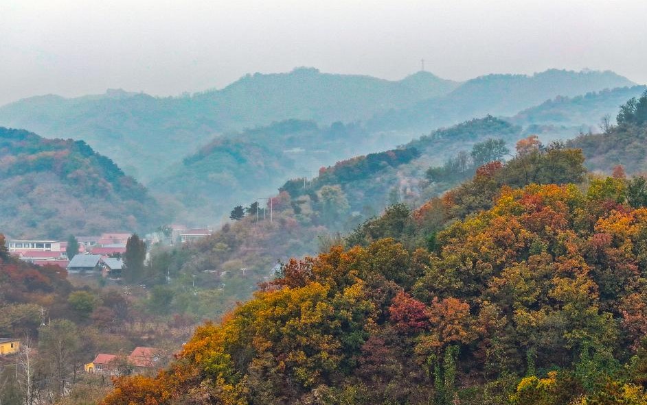 金秋华夏美(图4)