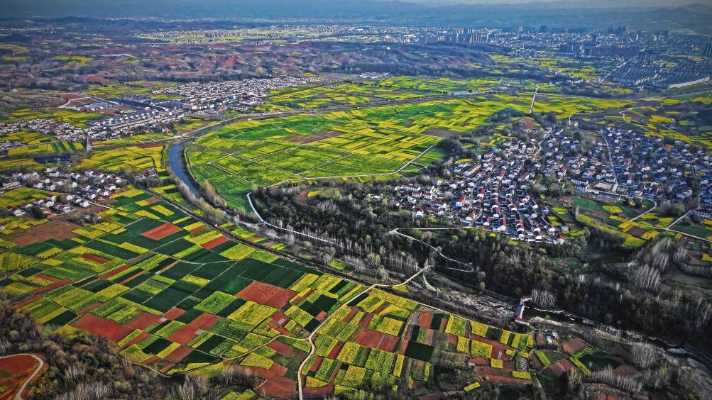 新时代中国调研行之看区域·西部篇丨“朱鹮之乡”的新名片(图1)