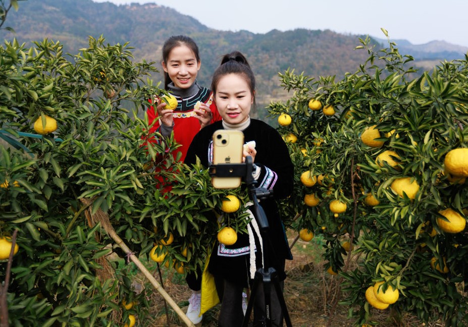 西部城乡共发展 产业振兴富民生(图4)