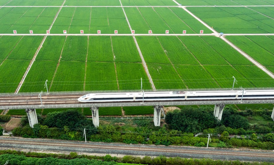 西部城乡共发展 产业振兴富民生(图2)