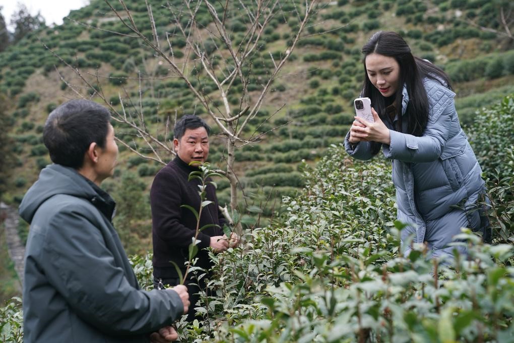 西部“新农人”提升乡村振兴“活力值”(图1)