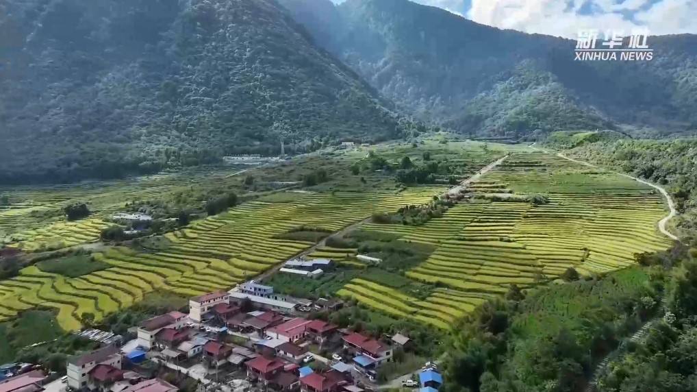 “高原孤岛”变迁记(图2)