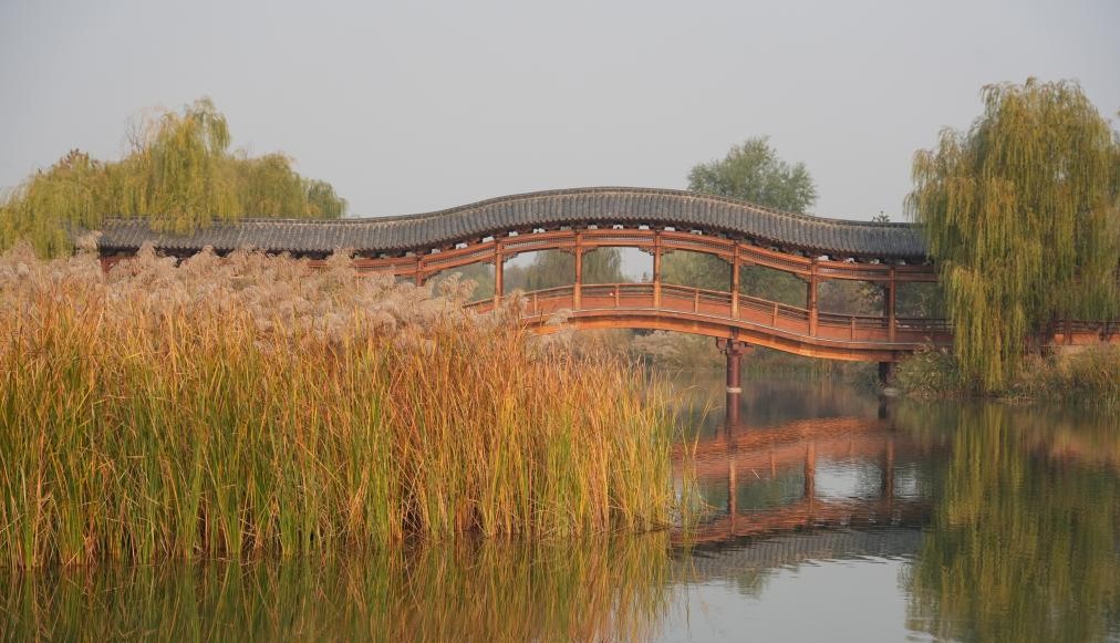 立冬节气悄然至 雄安美景正当时(图1)