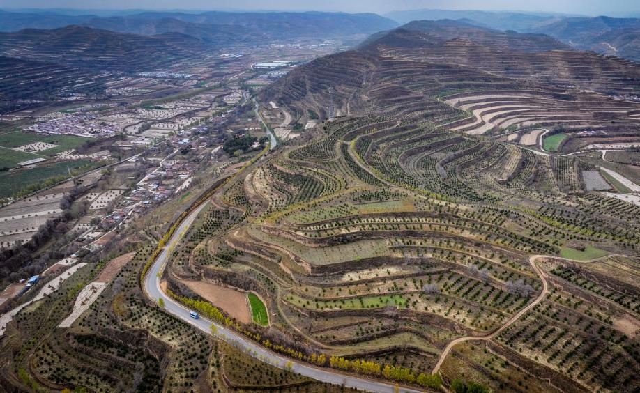 乡村快递“坐”公交(图2)