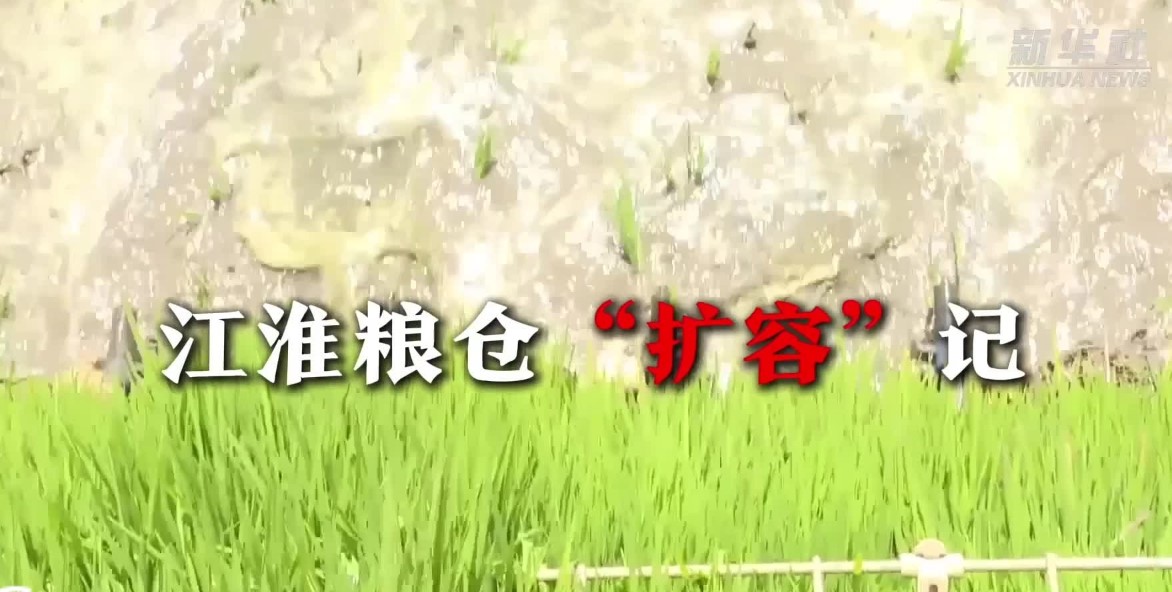 江淮粮仓“扩容”记(图1)