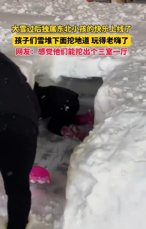 黑龙江大雪后，东北小孩一不小心挖出个“三室一厅”(图2)
