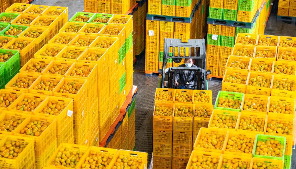 “土特产”助力三湘农业焕发新活力(图1)