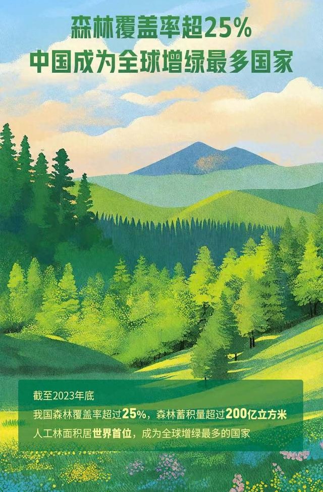 森林覆盖率超25%，中国成为全球增绿最多国家(图1)