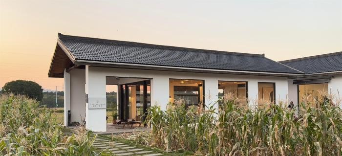 希望田野飘出咖啡香 浙江乡村如何“永旺”(图1)