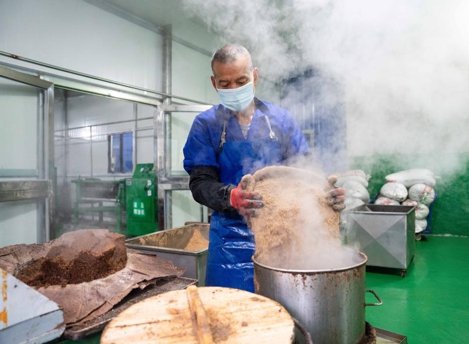 湖南祁阳：油茶飘香产业兴(图3)