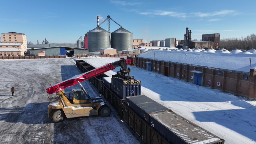 产粮第一大省黑龙江进入粮食收储加工旺季(图1)