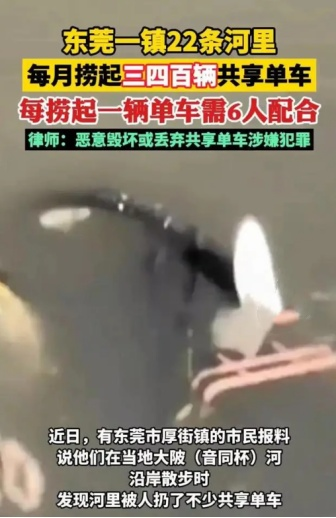 共享单车遭殃！东莞厚街三四百辆被丢河里！(图1)