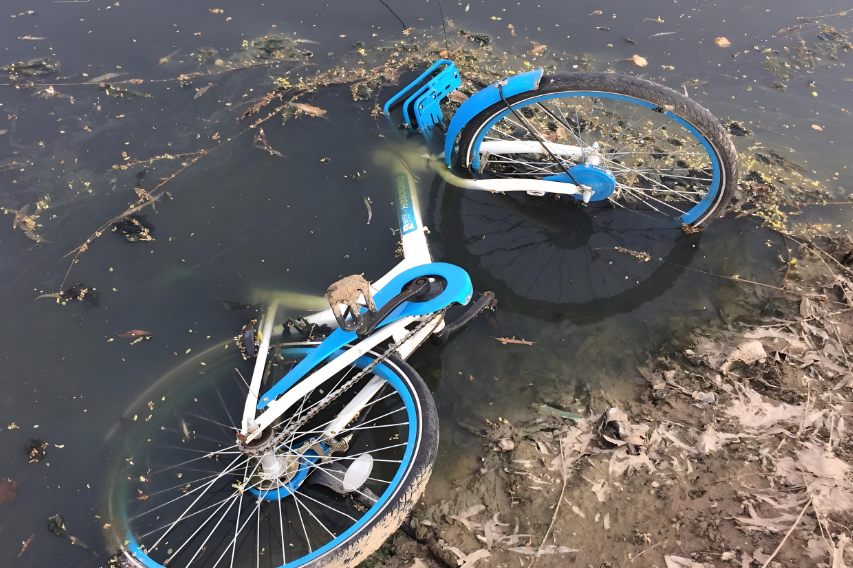 共享单车遭殃！东莞厚街三四百辆被丢河里！(图2)