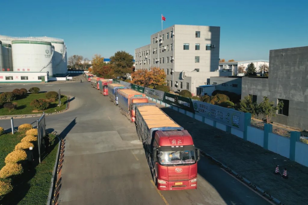 全国日均收购秋粮超200万吨(图1)