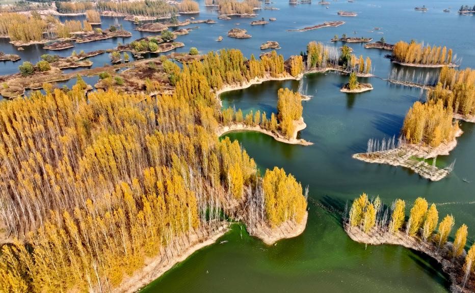 泜河染金风光秀美(图4)