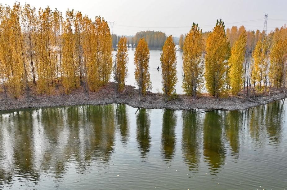 泜河染金风光秀美(图3)