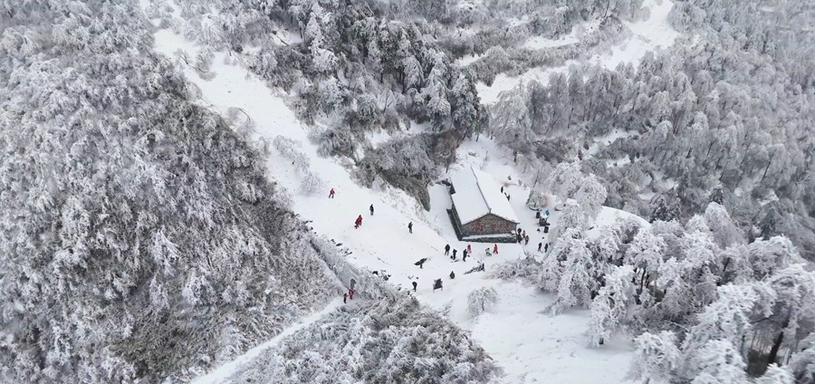 雾凇漫山枝头挂 古道冬景更胜春(图1)