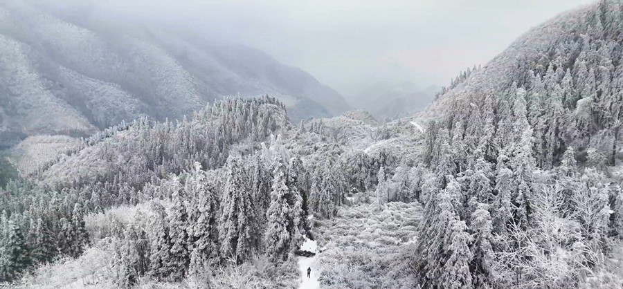 雾凇漫山枝头挂 古道冬景更胜春(图3)