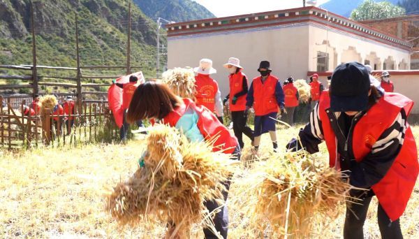 扎根雪域高原，书写青春华章(图1)