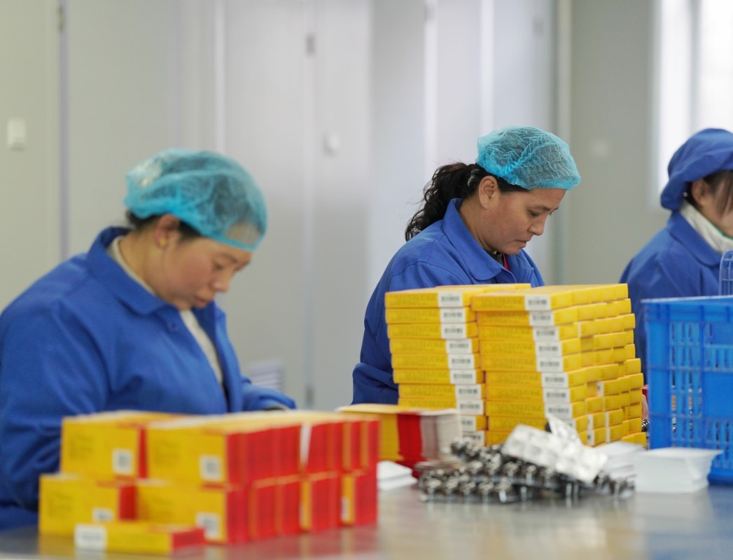 河北内丘：新年忙开工 力争“开门红”(图3)