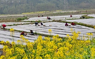 春耕备耕“知天而作”(图1)