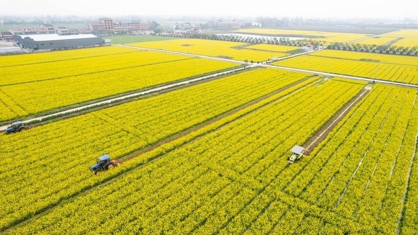 沃野逐春光——有序推进春耕备耕(图1)