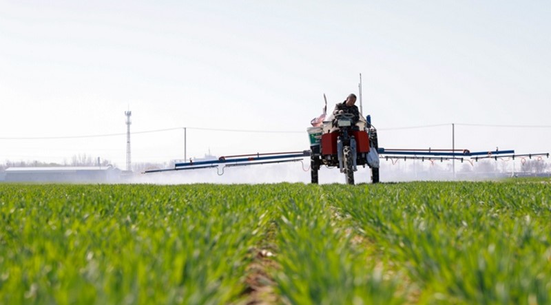 托管服务助春耕(图2)