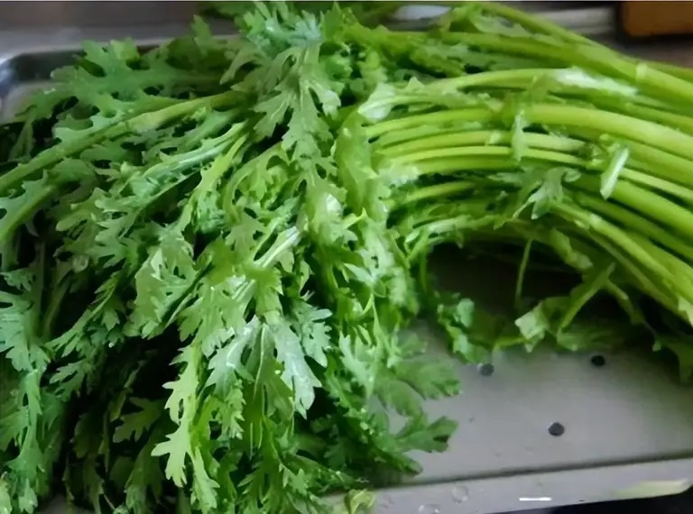 春天这菜正当季，人称“养肝菜”，脆嫩鲜香营养高，别错过了(图1)