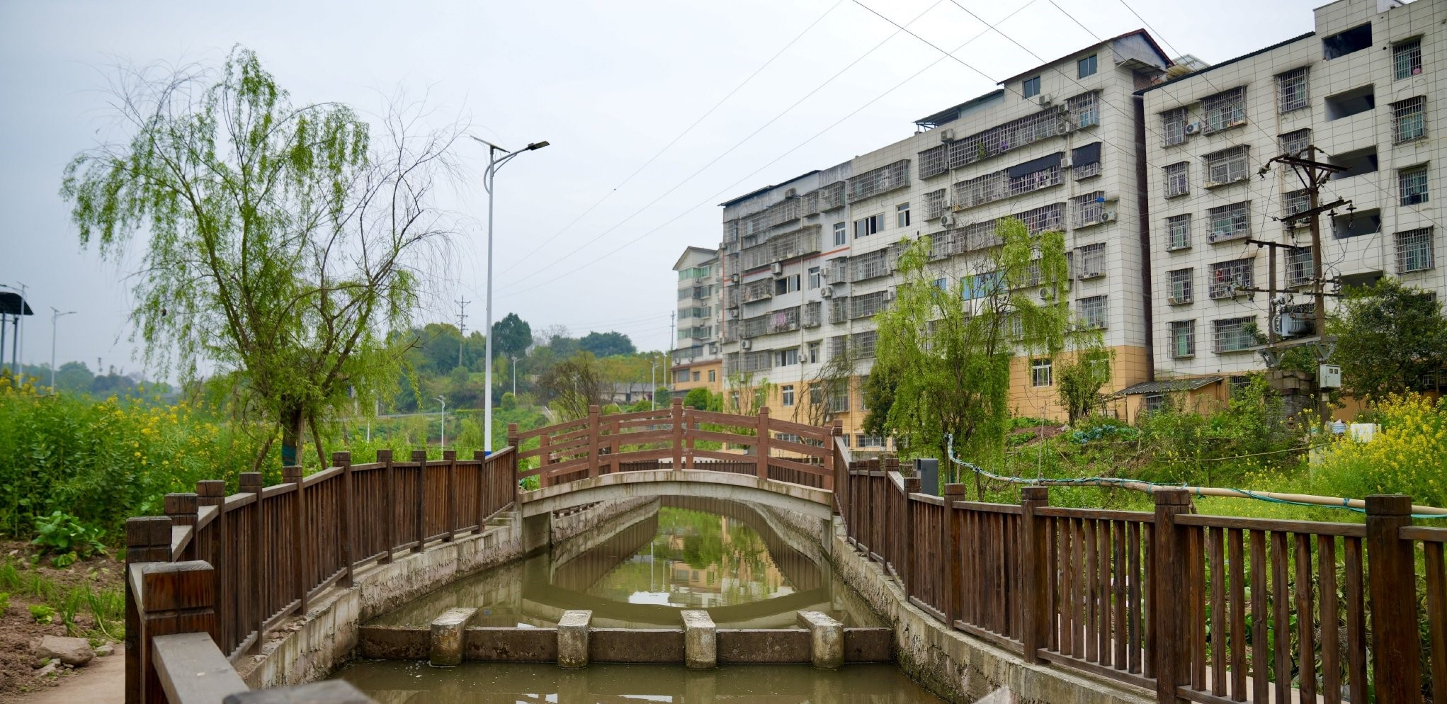 “臭水沟”变“小清河” 碧波荡漾里的“百姓好口碑”(图1)